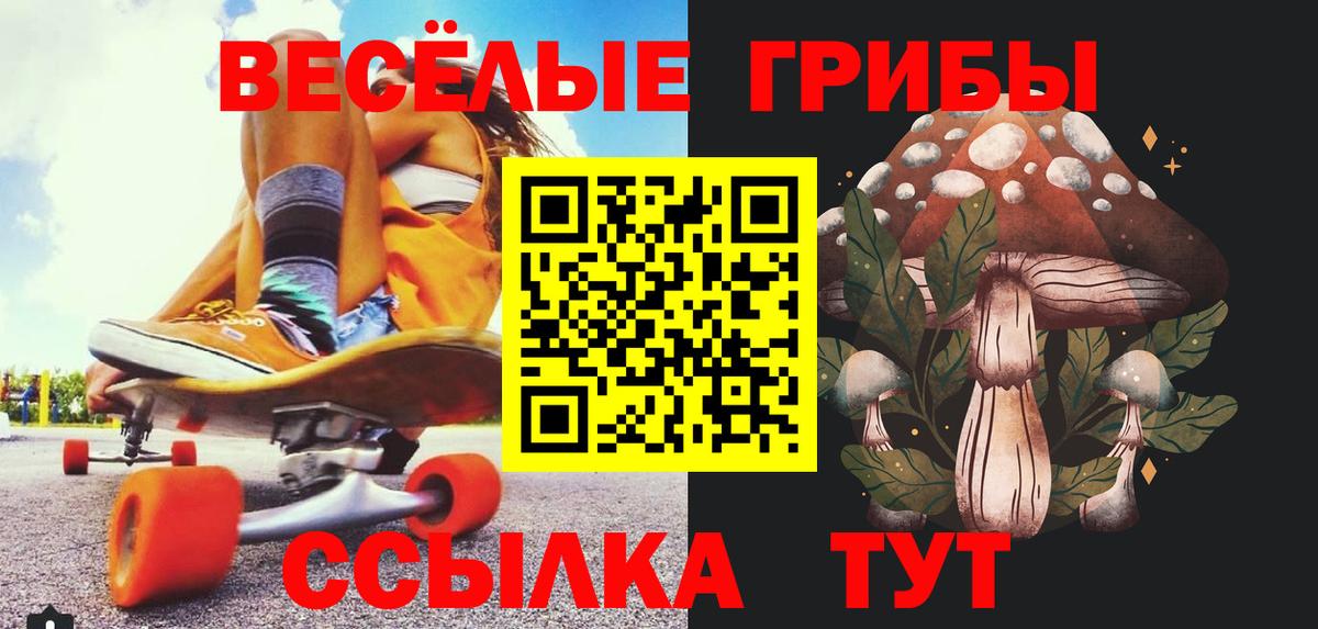 Псилоцибиновые грибы MAGIC MUSHROOMS  Вход с VPN  Осинники  Псилоцибиновые грибы мицелий 
